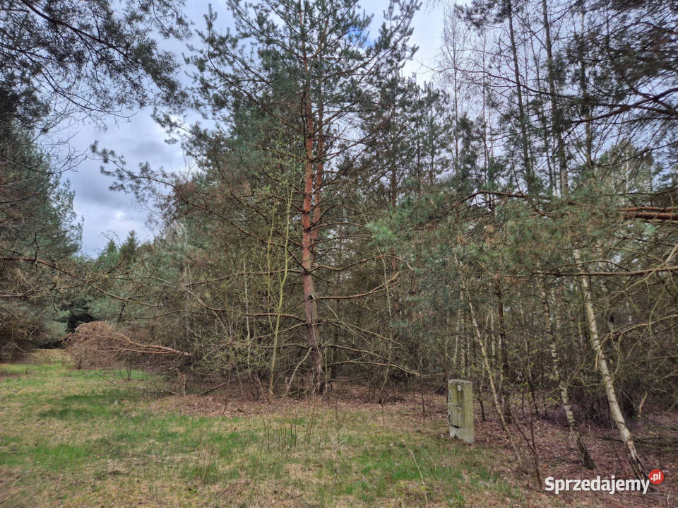 Działka budowlana 1434 m2 Kuklówka Radziejowicka mazowieckie