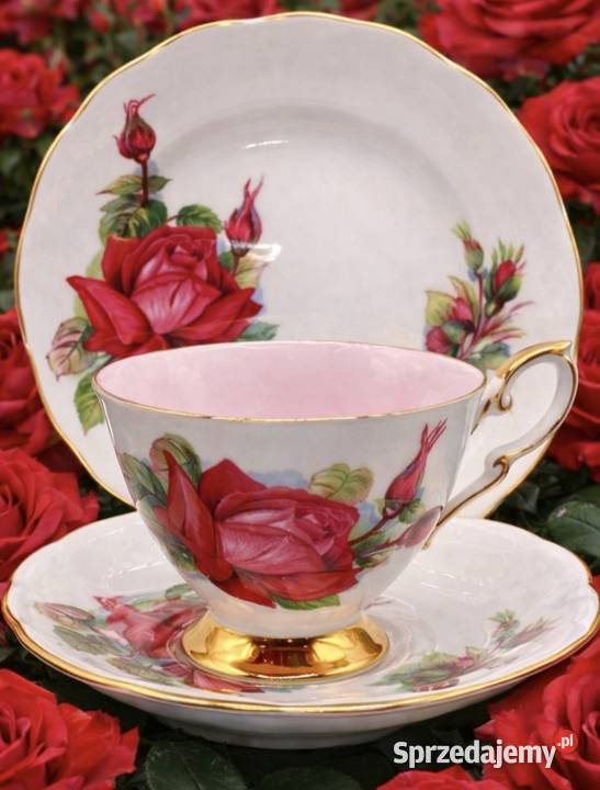Angielska porcelana kostna ROSLYN łódzkie Pabianice