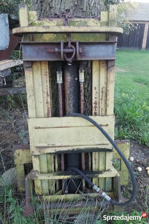 Maszt widlaka Borowa sprzedam