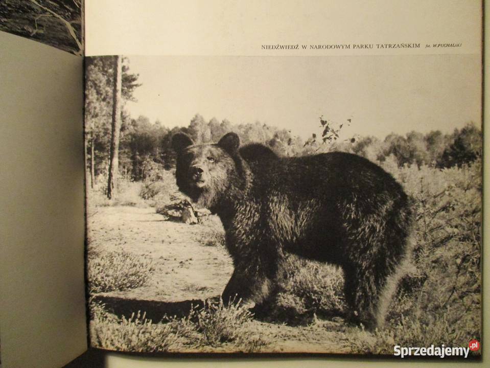 Ziemia Krakowska 1965 Kraków album krajobraz Poradniki, albumy i reportaże łódzkie Łódź