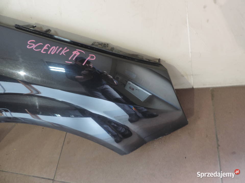 BŁOTNIK PRZEDNI PRAWY PRZEDNI RENAULT SCENIC 2 małopolskie Nowy Sącz sprzedam