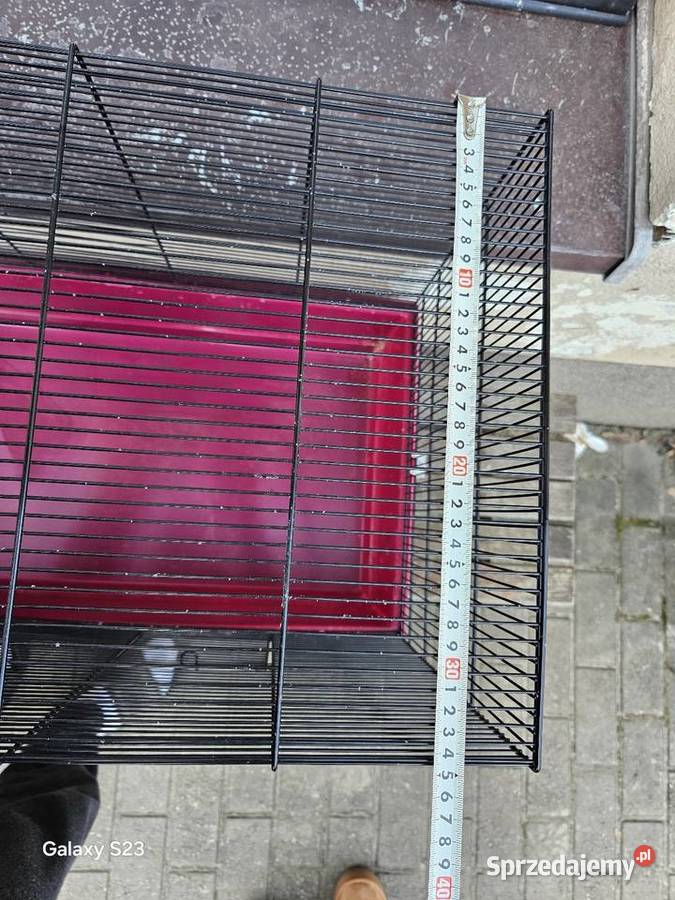 Klatka Papug i innych zwierząt zachodniopomorskie Gryfino