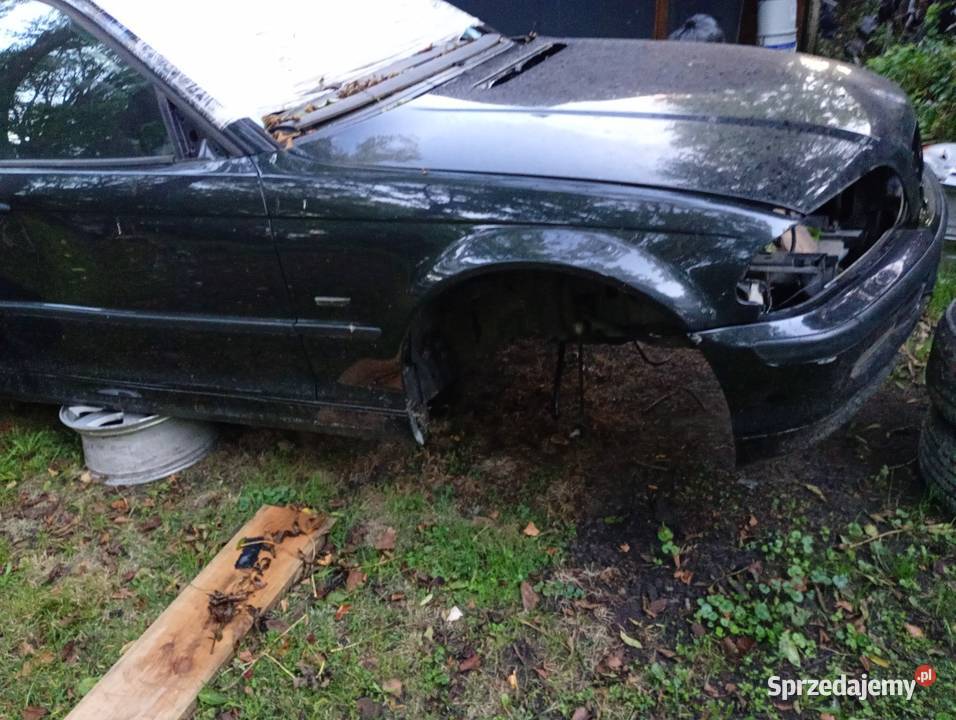 BMW e46 Rok produkcji 2001 Drzwi Jeżowe