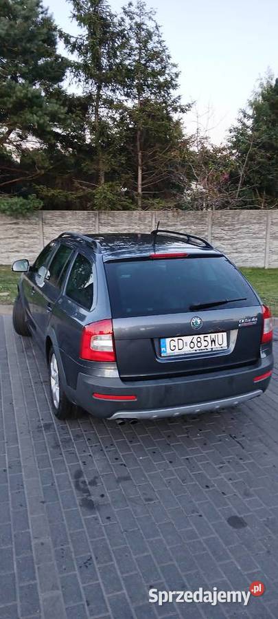 Skoda Octavia 20 TDI CR Scout 4X4 pomorskie Gdańsk