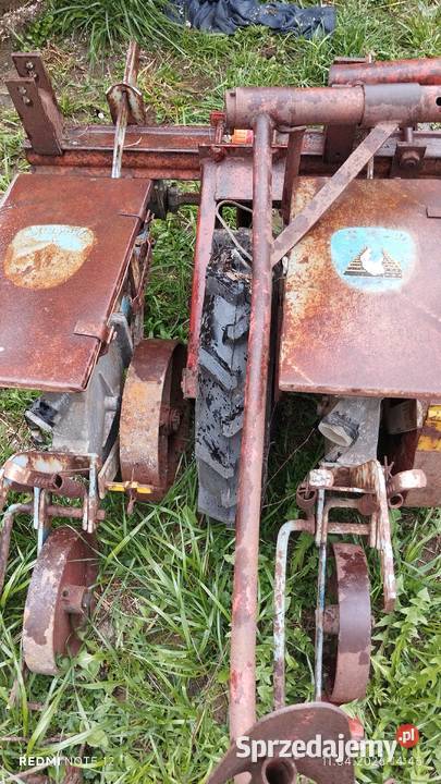 Siewnik do buraków Kosina