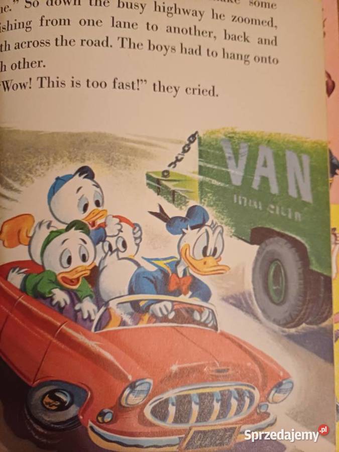 Donald Duck in Disneyland DDuck Prize pomorskie Gdynia