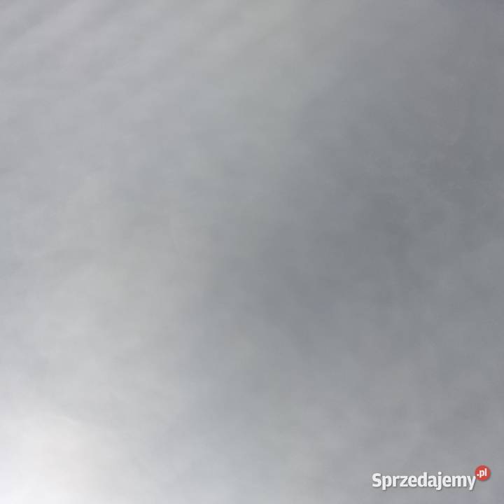 MAN TGL TGM STOPIEŃ PRAWY STOPNICA NADKLOE Bieleń