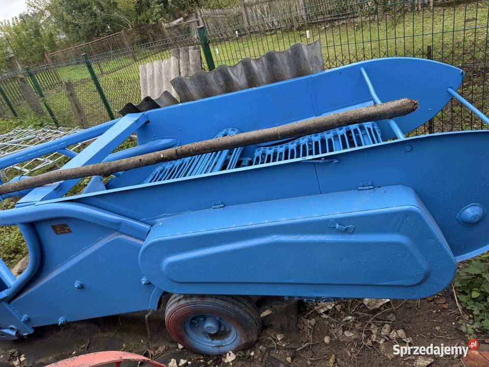 Kopaczka elewatorowa do ziemniaków Padew Narodowa