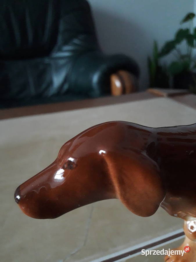 Figurka porcelanowa Seter angielski Łomonosow Porcelana i szkło Janów Lubelski