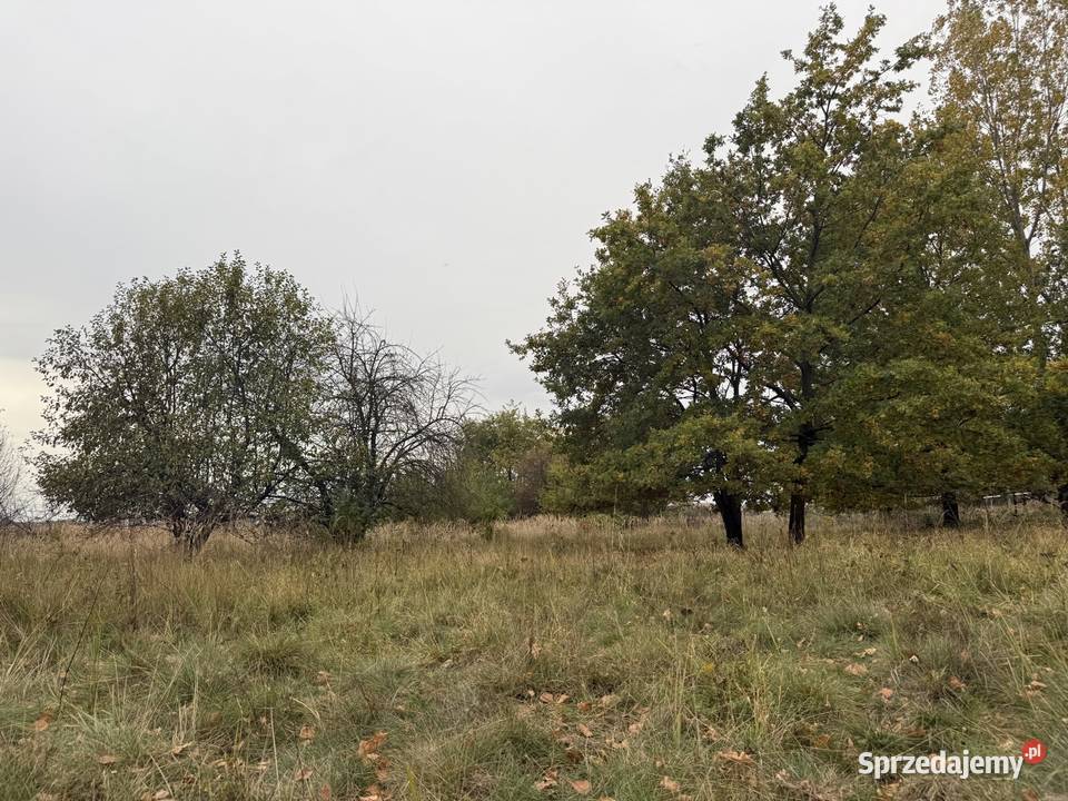 Działka rolna Baranów 5000m2