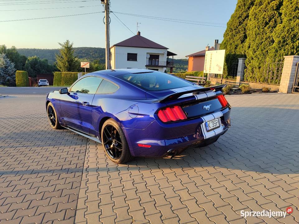 Ford Mustang 2016 Automat perfekcyjny stan Kalwaria Zebrzydowska