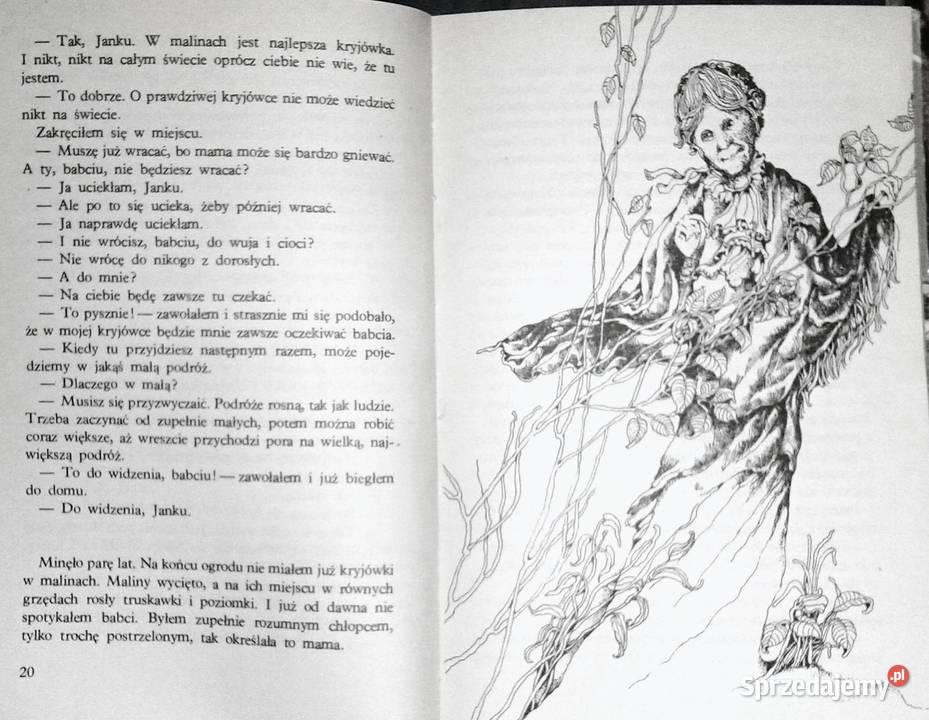 Podróże małego Sindbada Stanisław Kowalewski lubelskie