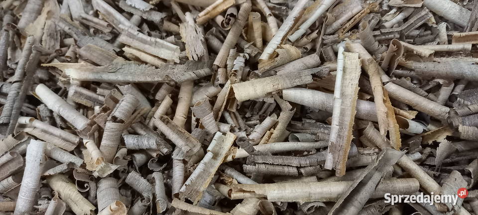 trociny orzech włoski suche Gryzonie