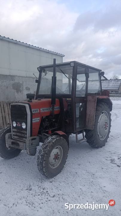 Massey Ferguson 255 MF255 Massey Ferguson Gąsiorowice sprzedam