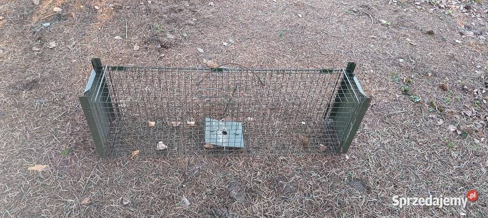 Żywołapka na gryzonie Zwierzęta