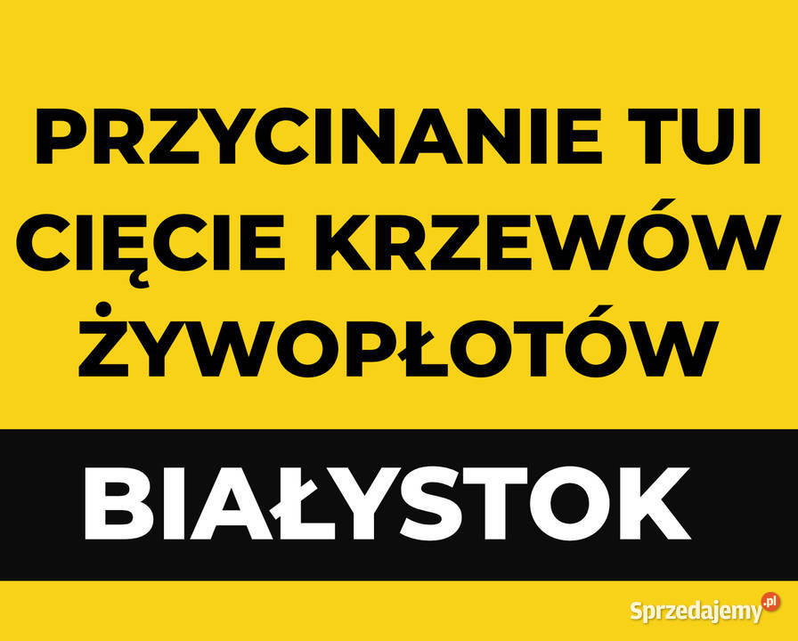 Przycinanie Tui Cięcie Krzewów i Żywopłotów Białystok