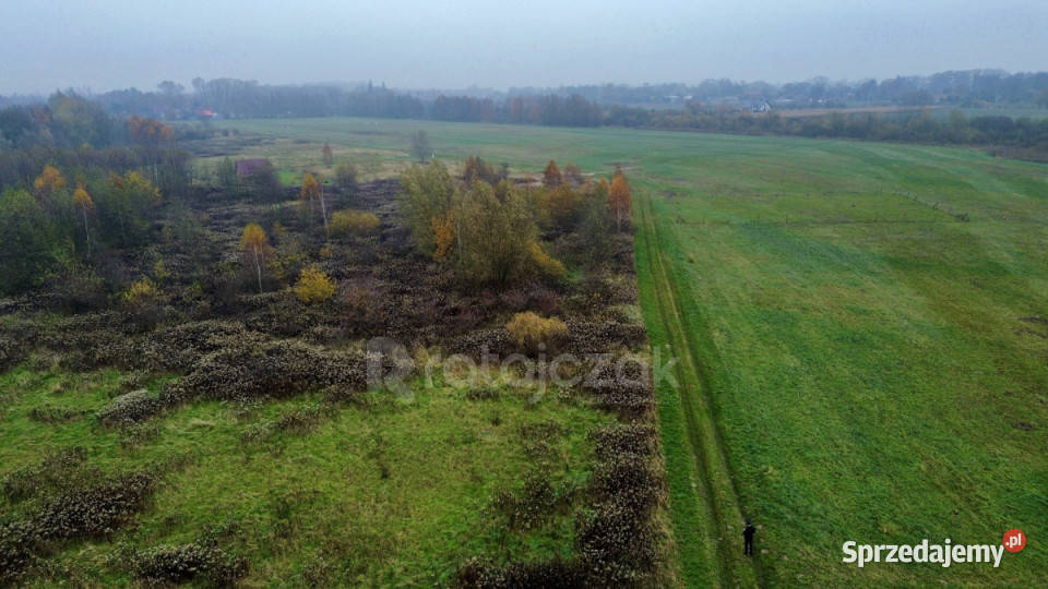 Działka 3356m2 Drewnica Zielona polna sprzedam