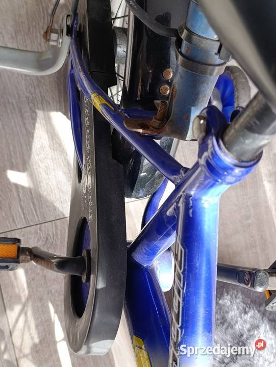 rowerek rower dziecięcy mały sprzedam wielkopolskie Poznań