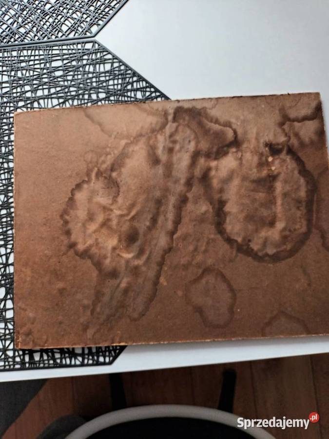 Sprzedam obraz malowany techniką olejną