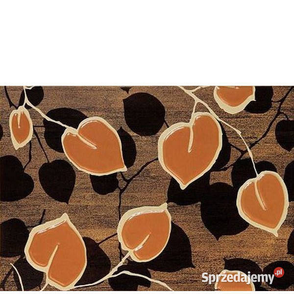 Hoja 1 dekor 25 x 36 Domino Tubądzin aktualne Płytki ścienne Białogard sprzedam