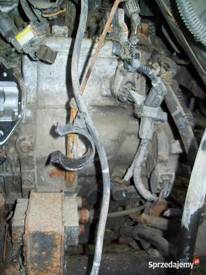 Odyssey 35 V6 Skrzynia biegow 7R36AA7 osobowe Mińsk Mazowiecki