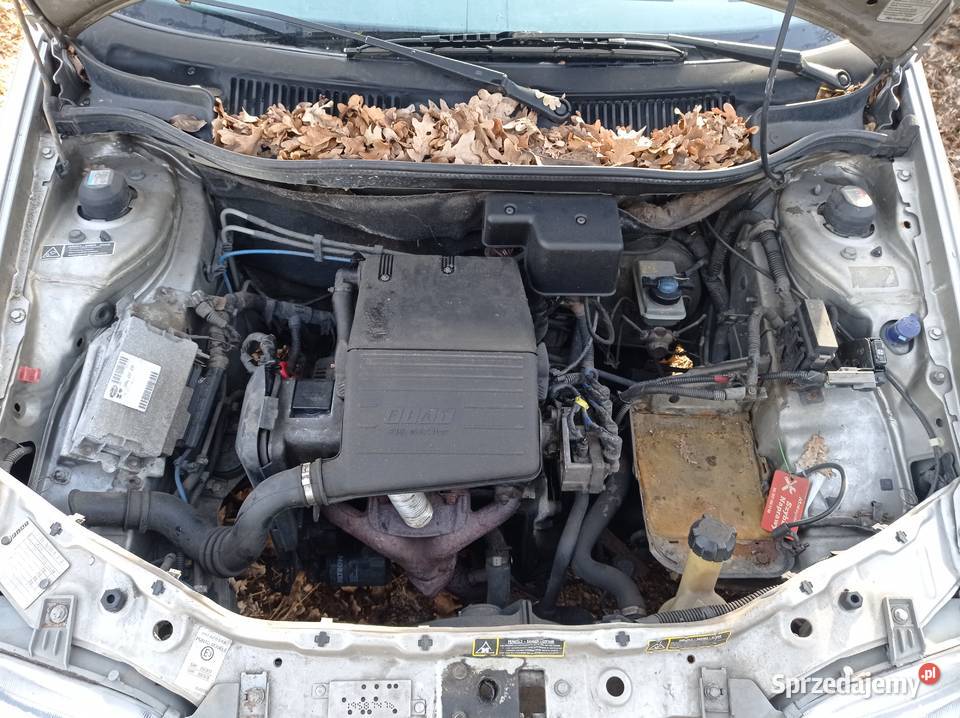 Fiat Punto 11 40 kW 1997 r dawca części Samochody na części Szklarka Myślniewska