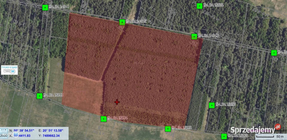 Grunt 106000m2 Pierzchnica sprzedam