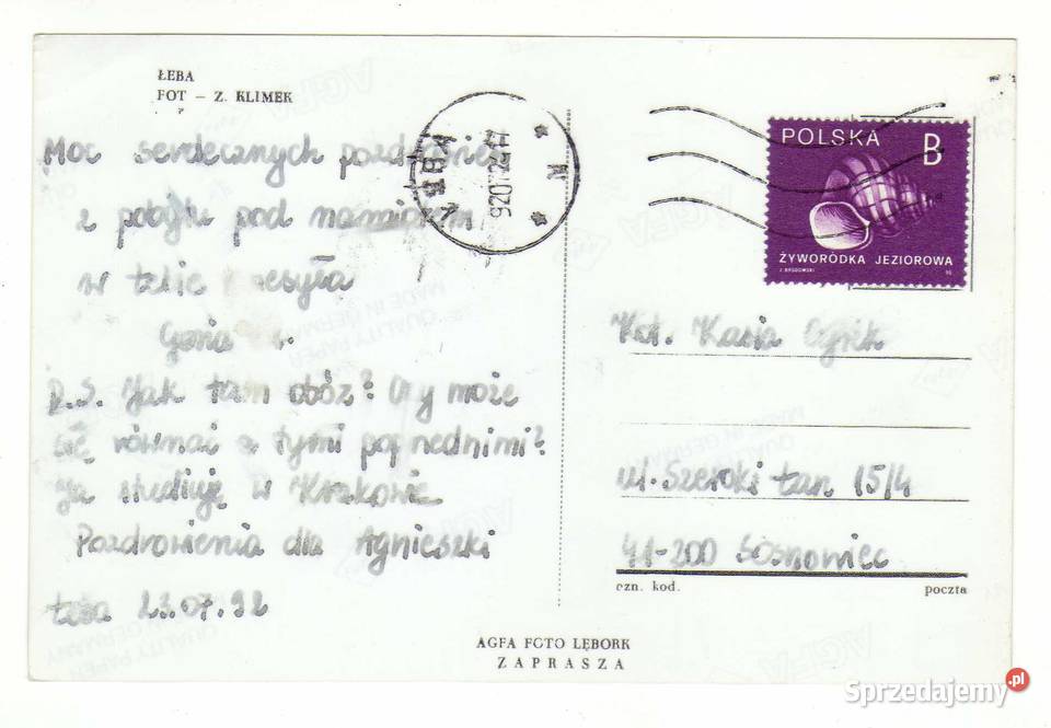 ŁEBA Pocztówki i karty telefoniczne Krynki sprzedam