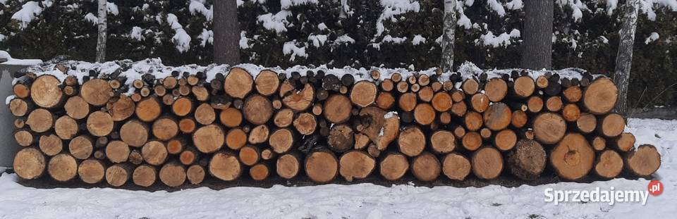 Drewno Radgoszcz sprzedam
