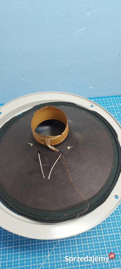 Głośniki Estradowe Zawodowe Spalone Cewki