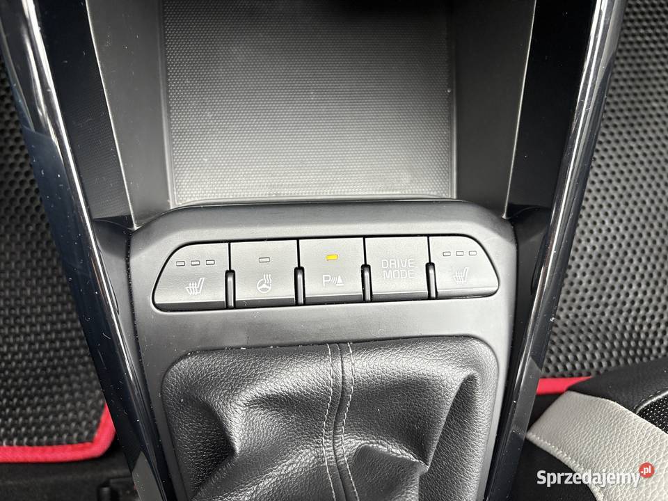 Salon BezwypKlima kamera cofaniaI właścicelSkóra Libiąż