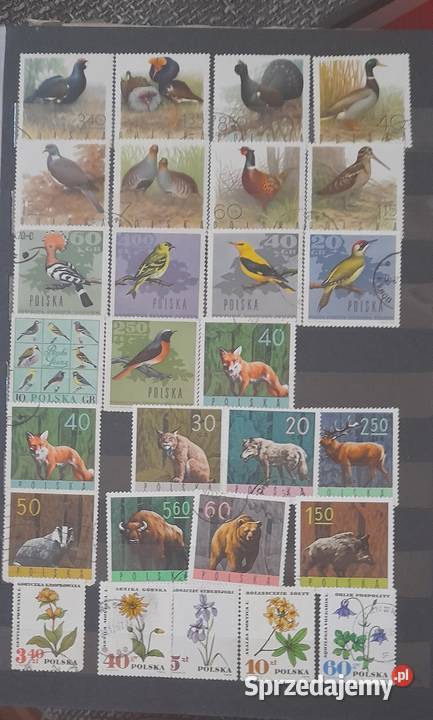 Klaser ze znaczkami Czarnków