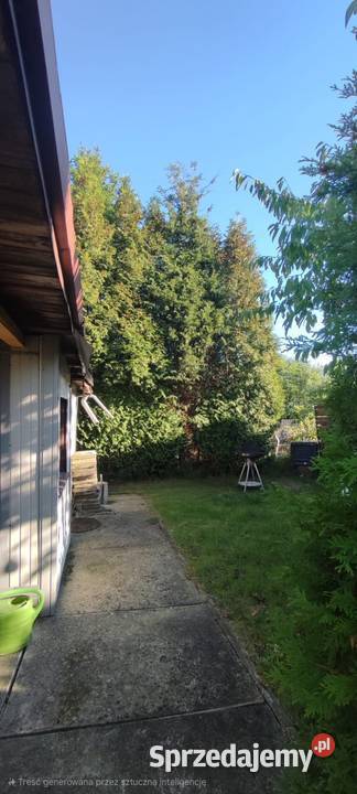 Działka ROD Konwalia Pyskowice sprzedam