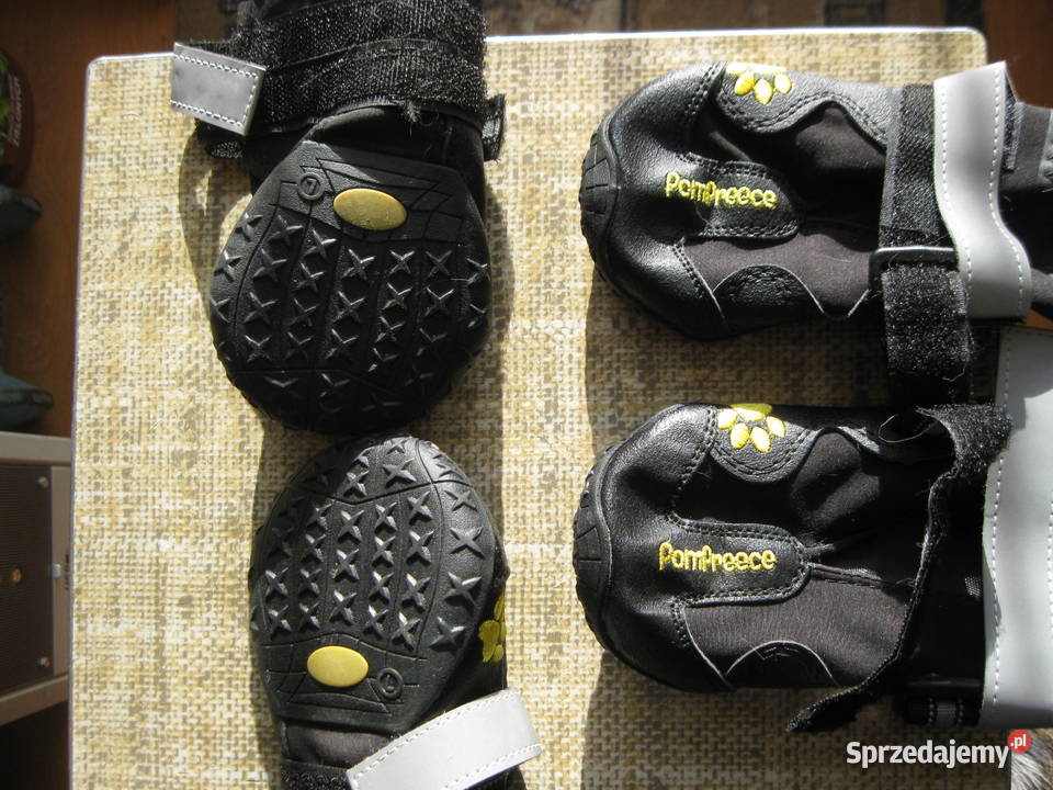 BUTY Ochraniacze psa Rozmiar 7 Konieczki sprzedam