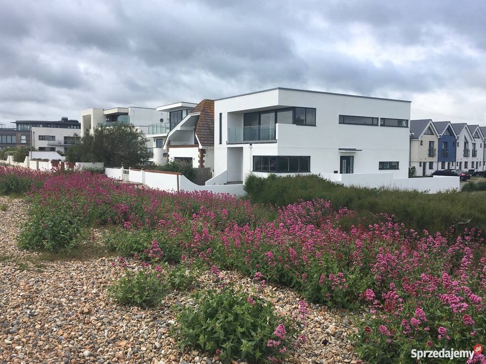 Okna aluminiowe Schco AWS 75SI Drzwi i okna Piwniczna-Zdrój