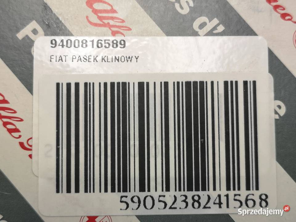 PASEK KLINOWY FIAT SCUDO 19 TD 19962006 NOWY
