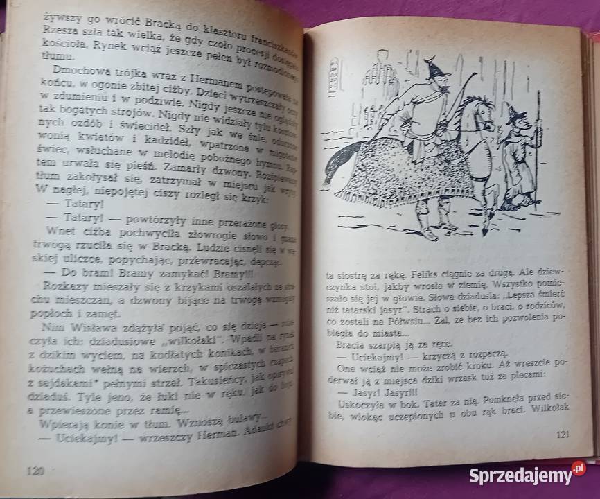 Jadwiga i Anna Chamiec Gniewko z Turoboi Wyd I wielkopolskie Koźminek