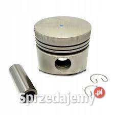 Tłok pomorskie Kobylnica