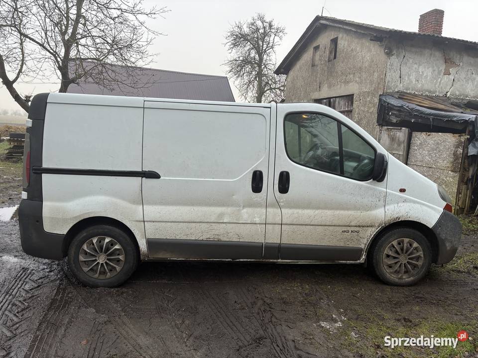 Renault traffic Duszniki