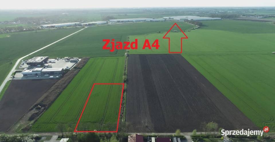 Działka 6000 m2 Milejowice Krajków Żórawina obok rolna sprzedam