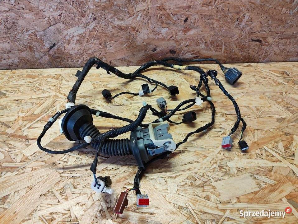 Wiązka Instalacja Drzwi Lewe Ford Mustang V 2007 Pleszew