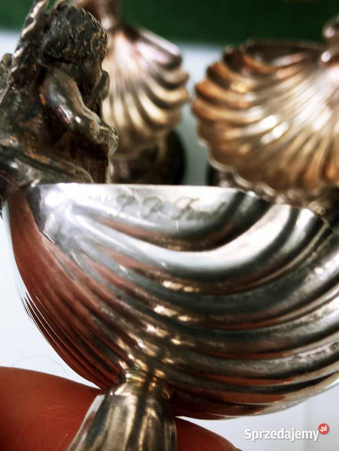 Solniczki Posrebrzane Amory Grajki Muszle Nowa Sól