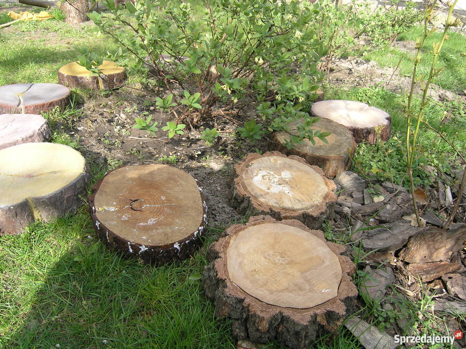 Drewno betonowedeski z betonupieńki Wolsztyn