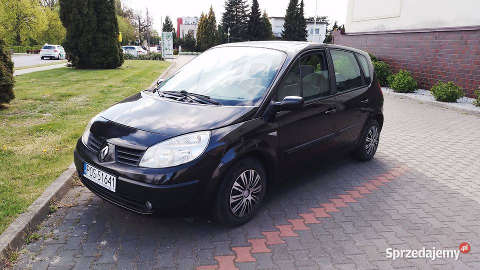 RENAULT SCENIC Kalisz