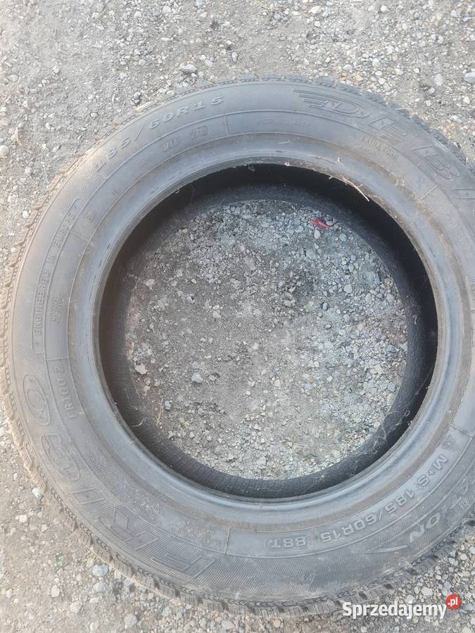 Opona zimowa Dębica frigo 1856015 1sztuka Myszków