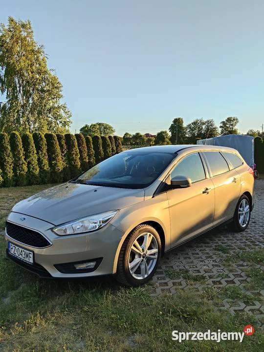Ford Focus 2015r 16 TDCI Niemce