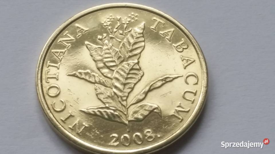 10 LIPA 2008 moneta rzadka niedostępna piękny Numizmatyka Suszec