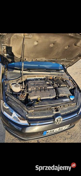 Golf 20TDI BMT lakier metallic Golf Zgorzelec