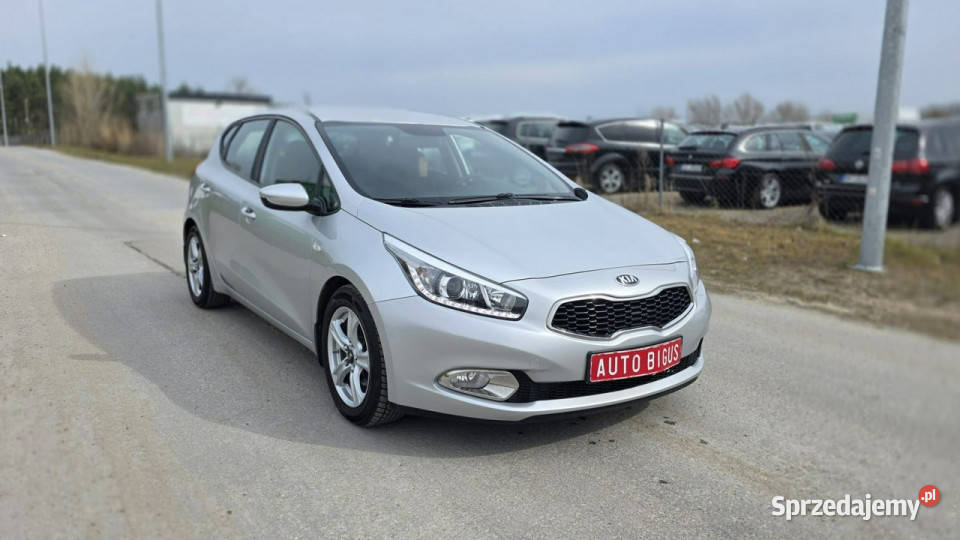 Kia Ceed klima zarejestrowana salon polska LEDY diesel Lębork