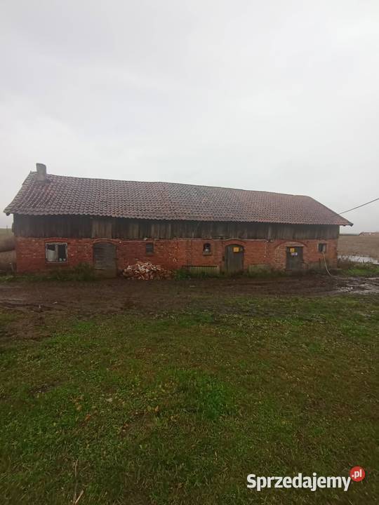 Sprzedam siedlisko z budynkami do remontu Węgój